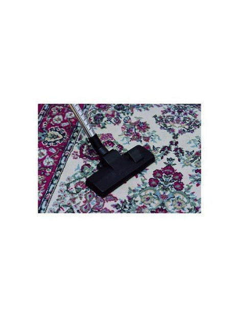 Nettoyage d'un tapis avec une brosse combinée premium