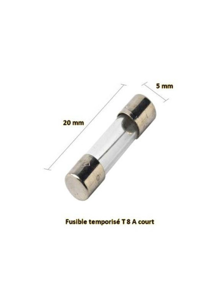Fusible 8 ampères temporisé 5/20 aspirateur centralisé