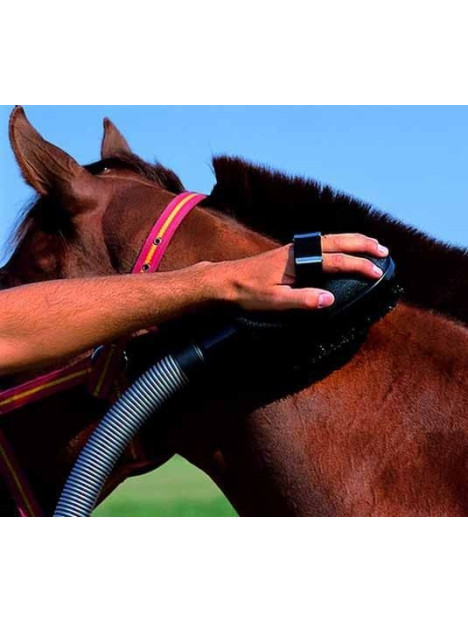 Brosse aspirateur sur un cheval