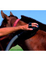 Brosse aspirateur sur un cheval